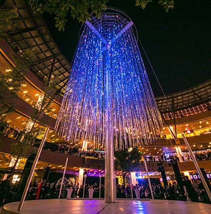 “光影上！！！钡乒庖帐踅谒飨钅